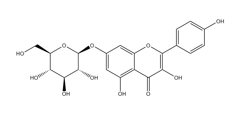 山奈酚-7-O-葡萄糖苷|16290-07-6